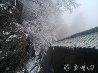 武当山再迎降雪