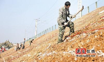 造独具武当特色的绿化带  