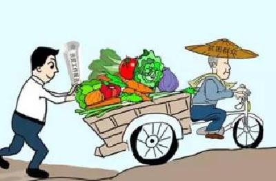 省电商精准扶贫领头人培养计划明确 3年培养十堰电商能手600名    