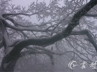 武当山再迎降雪