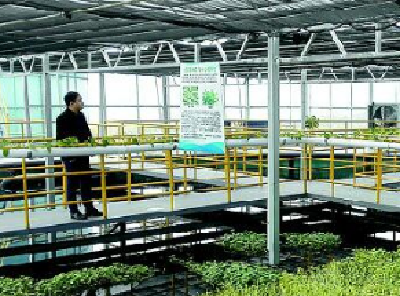 湖北927个乡镇仅153座污水处理厂 生活污水去哪了