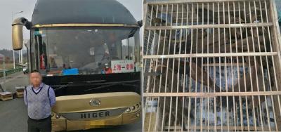 大客车非法运输野生画眉鸟近百只 被十堰高速交警查获