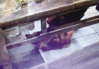 男子点1份鸡吃出10个鸡爪 进厨房发现鸡还活着