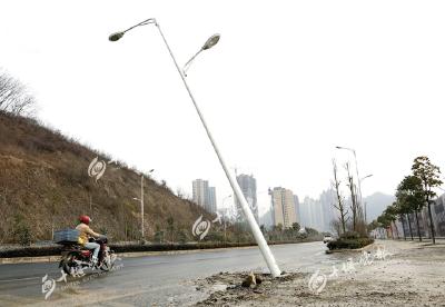 路灯快倒了！林荫大道一根路灯斜在路边，市民盼解决