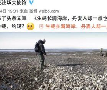 丹麦生蚝泛滥使馆紧急求助 中国网友:让我们来