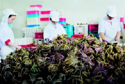 90后包粽工一天要包上千个