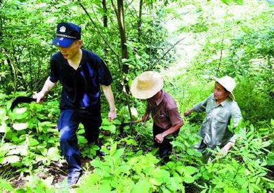 房县4岁孩子出门找爷爷跌落山崖，警民连夜搜寻30小时找回