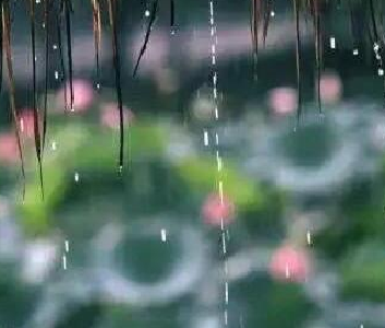 梅雨季第三轮降雨来袭 今起到周日湖北多地有大到暴雨