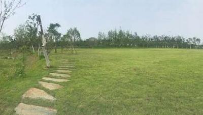 武当山机场郊野公园基本完工  投资6000多万元