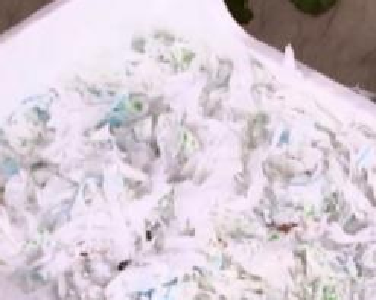 带血的卫生巾成了垫箱纸 这样的水蜜桃怎么下口？
