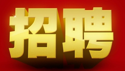 房县事业单位公开招聘53人