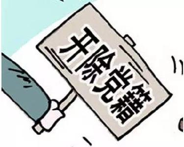 竹溪县人大常委会党组成员、原副主任罗正诚被开除党籍、开除公职并移送司法处理   