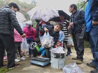 千余游客赴浪溪古村乡村游