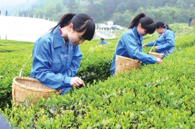 十堰围绕“三率一度“下足“绣花功夫“ 脱贫攻坚取得新成效