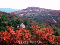 十堰的七彩丹霞:太极峡地质公园