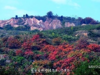 十堰的七彩丹霞:太极峡地质公园