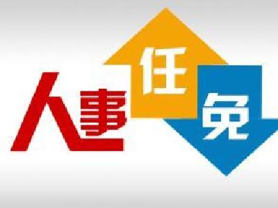 市委最新人事任免信息
