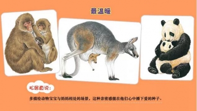 掌握这4个套路，还怕孩子不爱看书？不可能！