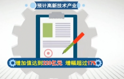 今年全市高新技术产业增加值达到220亿元 增幅17%