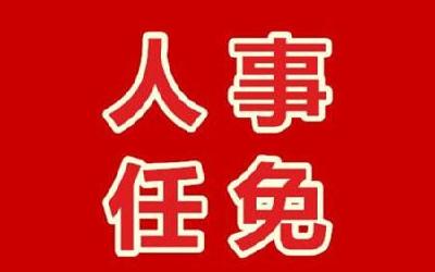 市委最新人事任免信息来了，涉及7名干部