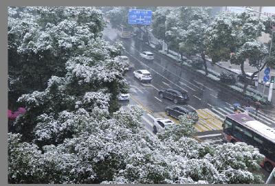 大雪寒潮！城区大部分学校临时停课