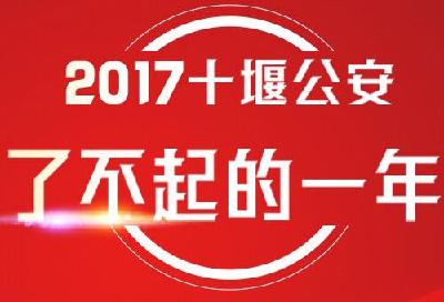 图解 | 2017十堰公安都干了些啥？