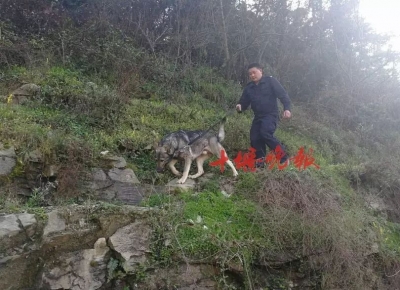 十堰深山，警察、村民、警犬、无人机全部出动！只为...