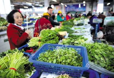 “春天的味道”扎堆上市  部分蔬菜卖得比猪肉都贵