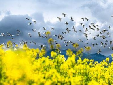 一起去转转！双休日十堰天气不错，最高温可达29℃