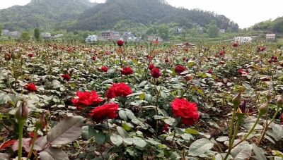 五一去哪儿玩？十堰最好玩的5个地方都在这！  