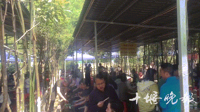 天啊！这是今天上午的十堰！快来感受下！