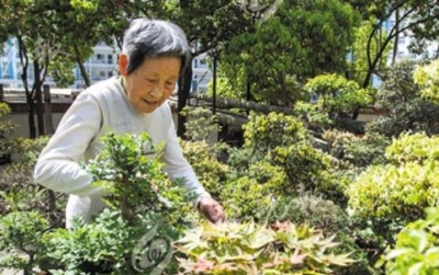 这就是最好的爱情！丈夫去世留下80余盆盆景，老伴续养十九载