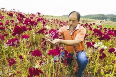 喜讯!十堰这两地拟获“全国基层中医药工作先进单位”称号