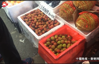 荔枝抢“鲜”上市 每斤40元甜过初恋
