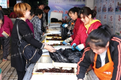 “小龙虾季”又来了!十堰城区“吃货”日食5万斤，今年的价格嘛…