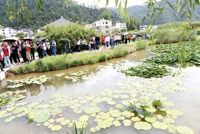 十堰的环保有多好、好在哪？他们用亲身体会告诉你！
