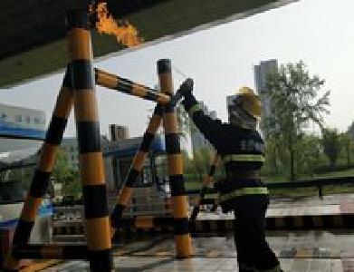 上万只“越狱”蜜蜂大闹高速收费站 十堰消防大战蜂群