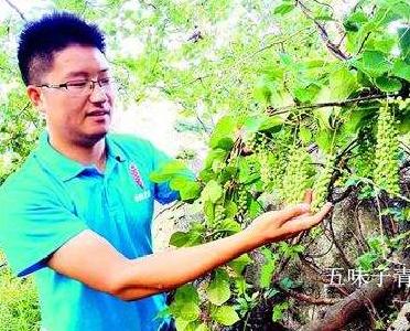 湖北10人荣登8月、9月