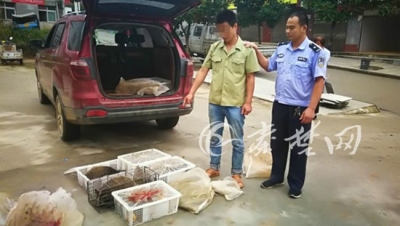 凌晨，丹江口男子将大量塑料箱塞进大巴，里面装着...