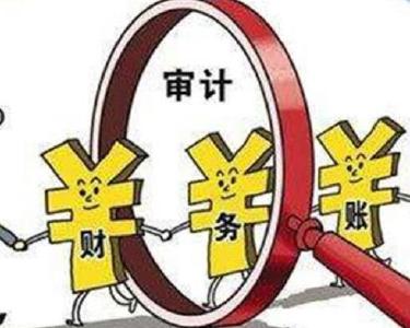 湖北省审计反映问题整改率达95.69%  845人被追责问责