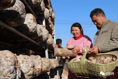 郧阳这个产业牛大了，一年产值60个亿！