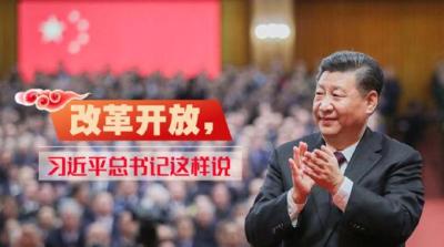 改革开放，习近平总书记这样说