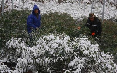 十堰积极做好雨雪冰冻灾害防范 实行24小时灾情零报告制度