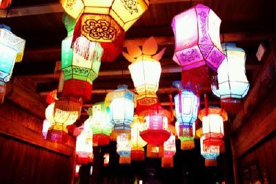 井然有序赏花灯 文明旅游成常态