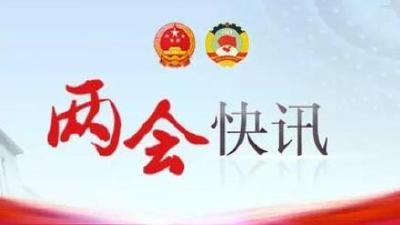 习近平等出席全国政协十三届二次会议开幕会  