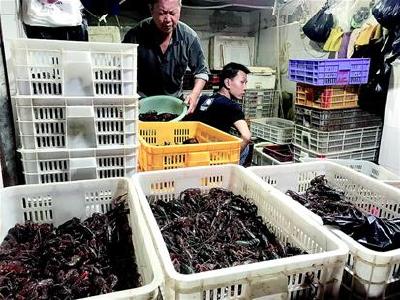 扎堆上市，小龙虾价格两个月跌去一半 实体店虾价仍坚挺