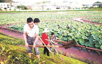 武当山特区再添休闲景点 剑河流域水生态修复项目完工