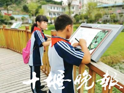 创文在行动|十堰小学生湿地公园学环保