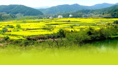 中秋小长假第二天 乡村文化旅游精彩纷呈