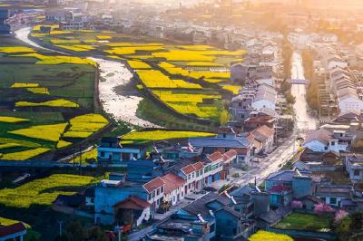 特色种植、乡村旅游……丹江口库区移民端上“绿饭碗”